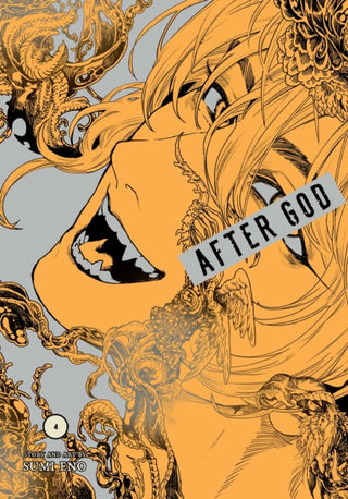 Cover image for 9781974754793 - After God, Vol. 4