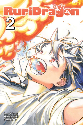 Cover image for 9781974756063 - RuriDragon, Vol. 2