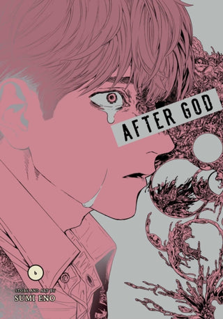 Cover image for 9781974758302 - After God, Vol. 6