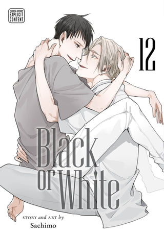 Cover image for 9781974762606 - Black or White, Vol. 12