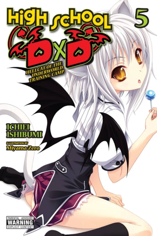 Cover image for 9781975312336 - High School DxD, Vol. 5 (light novel)