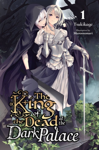 Cover image for 9781975317959 - The King of the Dead at the Dark Palace, Vol. 1 (light novel)