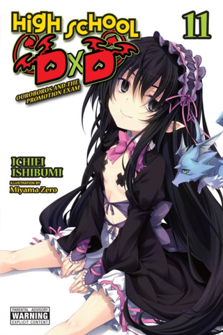 Supplemental image for 9781975348168 - High School DxD, Vol. 11 (light novel)