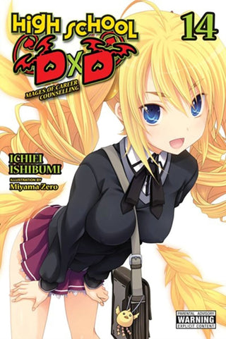 Cover image for 9781975350420 - High School DxD, Vol. 14 (light novel)