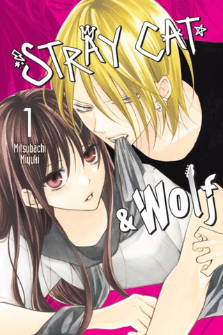 Cover image for 9781975370534 - Stray Cat & Wolf, Vol. 1
