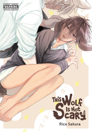 Cover image for 9781975389284 - This Wolf Is Not Scary
