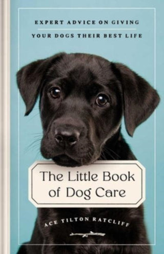 Cover image for 9781982173036 - The Little Book of Dog Care