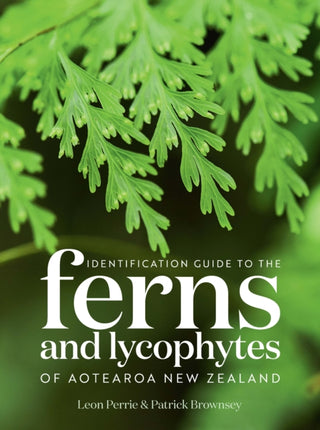 Cover image for 9781991165558 - Identification Guide to the Ferns and Lycophytes of Aotearoa New Zealand