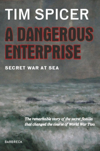 Cover image for 9781999589134 - A Dangerous Enterprise
