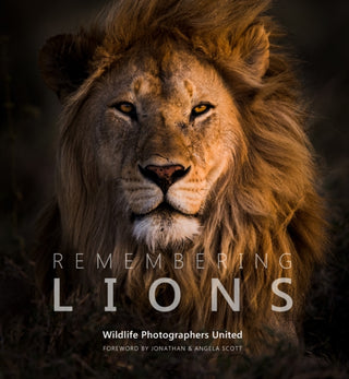Cover image for 9781999643317 - Remembering Lions