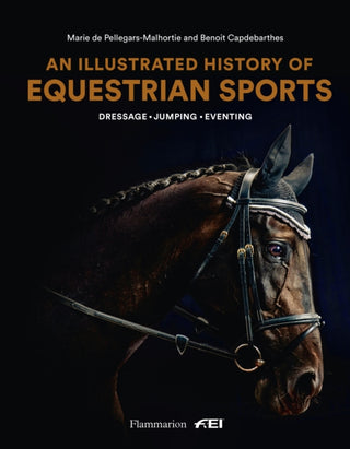 Cover image for 9782080203915 - An Illustrated History of Equestrian Sports