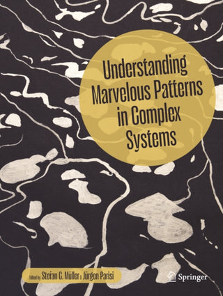 Cover image for 9783032087522 - Understanding Marvelous Patterns in Complex Systems