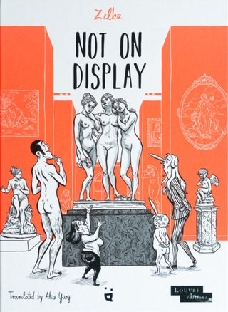 Cover image for 9783039640843 - Not On Display