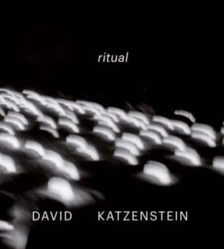 Cover image for 9783777439372 - David Katzenstein