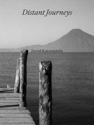 Cover image for 9783777443683 - David Katzenstein