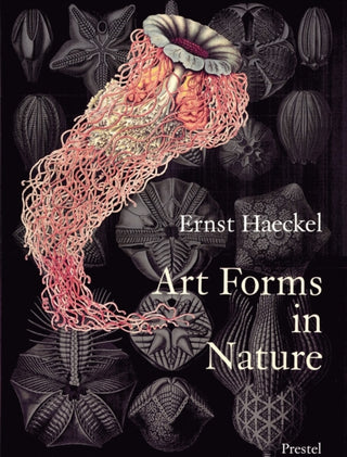 Cover image for 9783791319902 - Art Forms in Nature