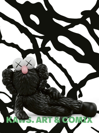 Cover image for 9783791392011 - KAWS