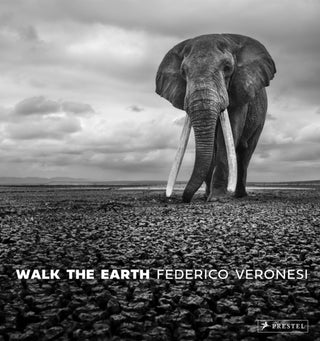 Cover image for 9783791393919 - Walk the Earth