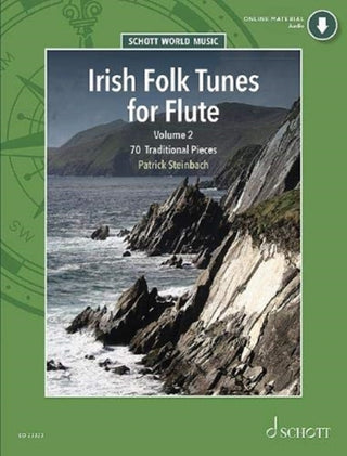 Cover image for 9783795720544 - Irish Folk Tunes for Flute