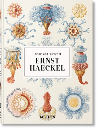 Supplemental image for 9783836584289 - The Art and Science of Ernst Haeckel