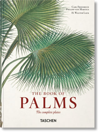 Cover image for 9783836587815 - Martius. The Book of Palms. 45th Ed.