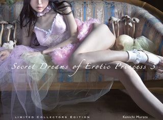 Cover image for 9783943105674 - Secret Dreams of Erotic Princess 3