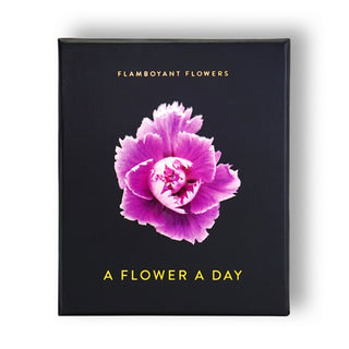 Cover image for 9783946688839 - Flamboyant Flowers