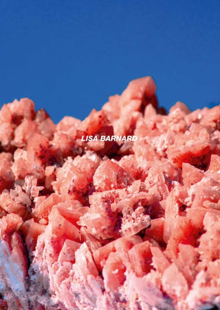 Cover image for 9783960701279 - After Nature Ulrike Crespo Photography Prize 2025 - Lisa Barnard
