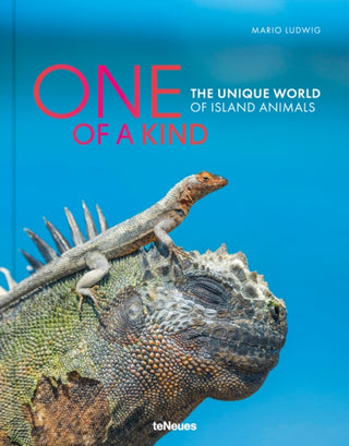 Cover image for 9783961713905 - One of a Kind
