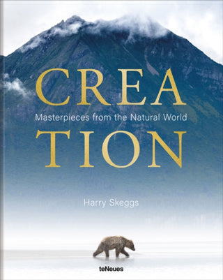 Cover image for 9783961715558 - Creation