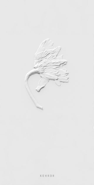 Cover image for 9783969002018 - Ephemeral Field Journal