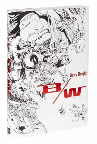 Cover image for 9784756257291 - Acky Bright B/W