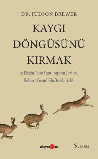 Cover image for 9786257344258 - Kaygi D?ng?s?n? Kirmak