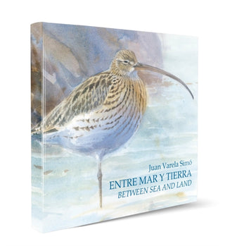 Cover image for 9788496553699 - Between Sea and Land / Entre Mar y Tierra