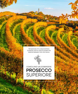 Cover image for 9788831403375 - Prosecco Superiore