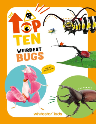 Cover image for 9788854420991 - The Top Ten: Weirdest Bugs