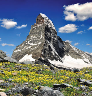 Supplemental image for 9788857245867 - Mountains