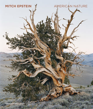 Cover image for 9788857253121 - Mitch Epstein