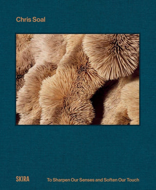 Cover image for 9788857253541 - Chris Soal