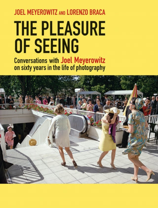 Cover image for 9788862087933 - The Pleasure of Seeing