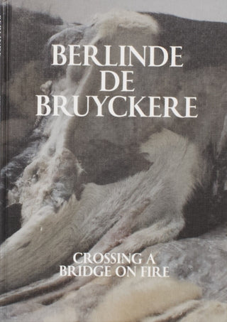 Cover image for 9788867496280 - Berlinde De Bruyckere: Crossing a Bridge on Fire