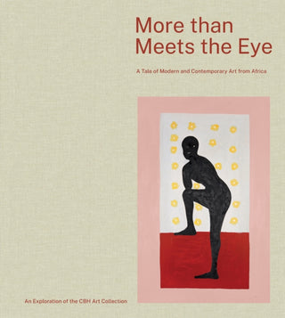 Cover image for 9788874394869 - More than Meets the Eye