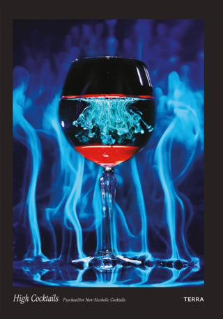 Cover image for 9789089898838 - High Cocktails