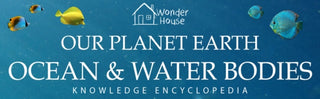 Supplemental image for 9789354402166 - Knowledge Encyclopedia for Children