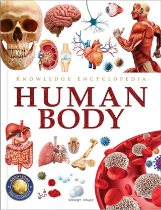 Cover image for 9789354404115 - Knowledge Encyclopedia Human Body