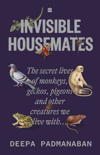 Supplemental image for 9789369896462 - Invisible Housemates