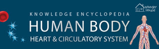 Supplemental image for 9789389931204 - Human Body