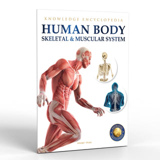 Cover image for 9789389931242 - Human Body - Skeletal And Muscular System: Knowledge Encyclopedia For Children