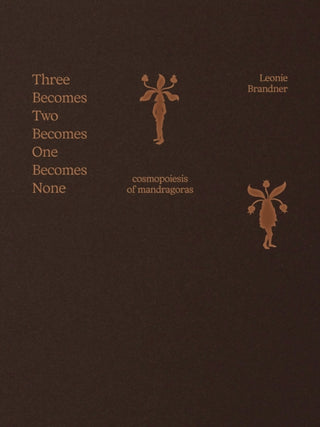 Cover image for 9789493382060 - Three Becomes Two Becomes One Becomes None