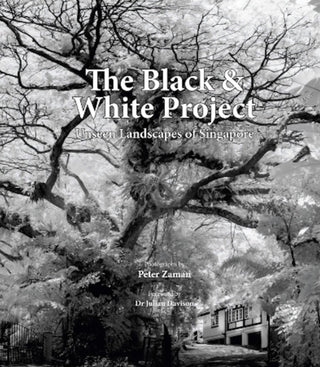 Supplemental image for 9789811878084 - The Black & White Project